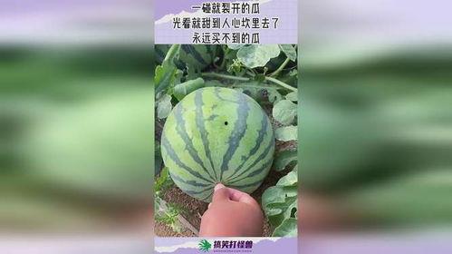 吃瓜网进不去怎么办,轻松畅享热门资讯！