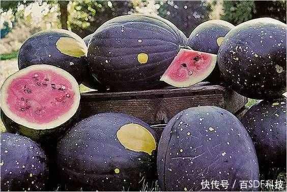 hl11cool黑料吃瓜网,网络舆论背后的真相与争议