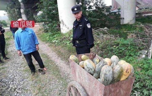 吃瓜网红翻车事件真相,揭秘背后惊人内幕