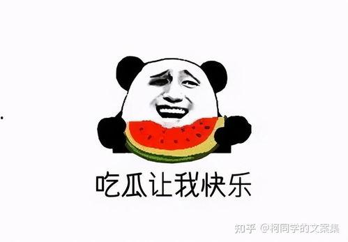 吃瓜网吃瓜群众,揭秘吃瓜网背后的故事