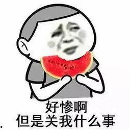 网红狗哥爆料吃瓜事件视频,吃瓜事件视频幕后真相大曝光