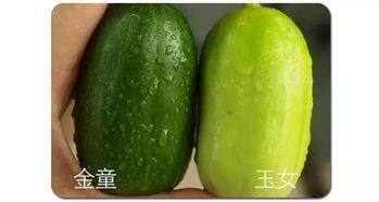 吃瓜专业网,吃瓜专业网带你领略幕后风云