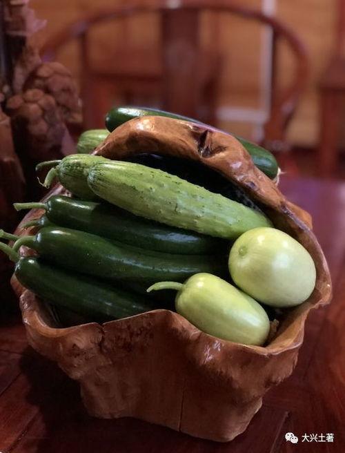 网红吃最贵的瓜,网红挑战最贵瓜果盛宴