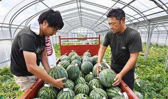 国产吃瓜网,揭秘娱乐圈幕后故事，带你领略网络舆论新风向