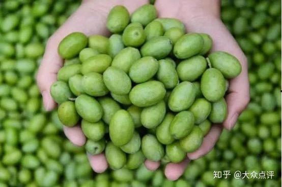 陇南网红吃瓜内容