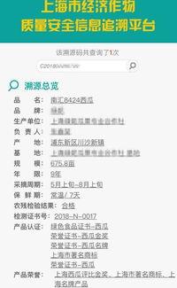 吃网红瓜的网址,探寻网络热点背后的真相与秘密