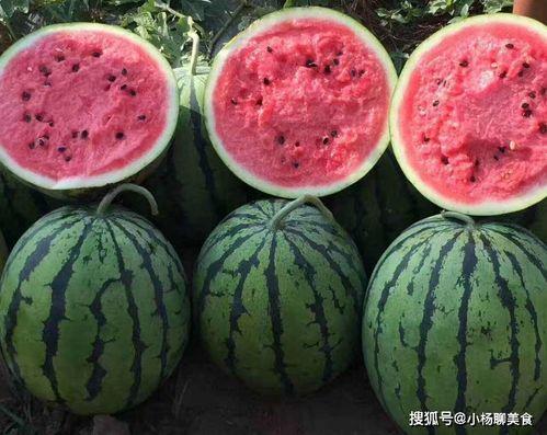 吃瓜网官方网站在线观看,畅享海量娱乐资讯，尽在指尖