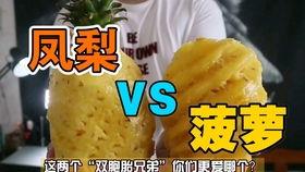 近期抖音网红吃瓜事件,揭秘网络舆论背后的真相与争议