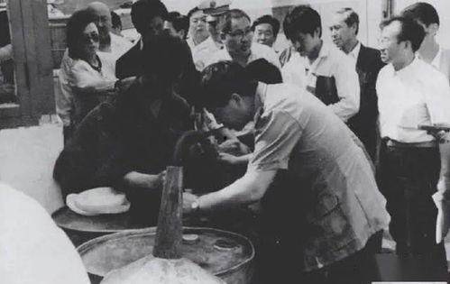 成县吃瓜网红事件始末,一场网络舆论的风暴与反思