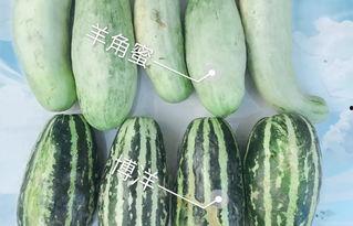 吃瓜被爆的网红是谁啊,吃瓜群众热议的网红身份大曝光！