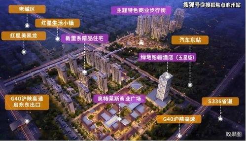 枣庄吃瓜协会官网电话,揭秘协会风采与特色活动