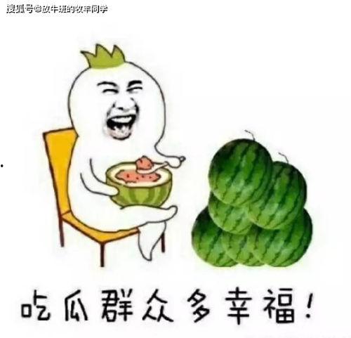 吃瓜网算不算,网络舆论场中的“瓜田”奇观