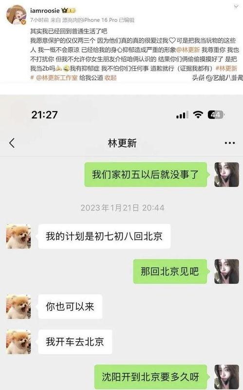 吃瓜网红 聊天记录,娱乐圈幕后真相大曝光