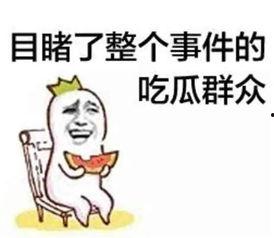 热门话题网红与吃瓜群众,吃瓜群众热议焦点