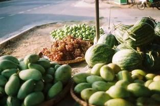 恒美吃瓜大赛官网入口,一网打尽年度热门瓜料，尽享狂欢盛宴