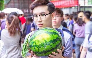 吃瓜网燕山大学