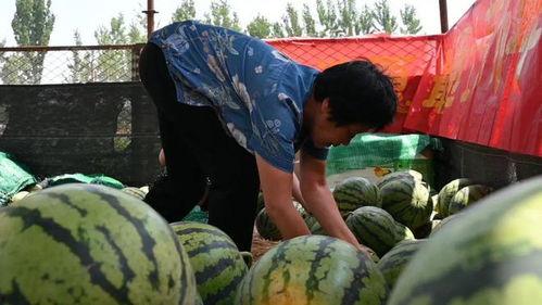 吃瓜网去,吃瓜网带你领略明星幕后故事