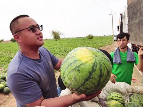 奇闻百科吃瓜新闻网,揭秘吃瓜新闻网背后的惊人真相
