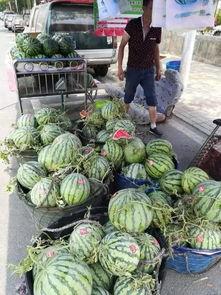 莒县网红吃瓜事件真相是真的吗,真相揭秘，还原事件始末